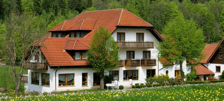 Rhön Sonnenhof酒店 - 餐厅和咖啡馆(Rhön-Hotel Sonnenhof -)图片