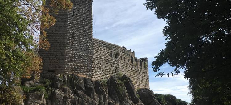 鹤巢住宿加早餐旅馆(Au Nid de Cigogne)图片