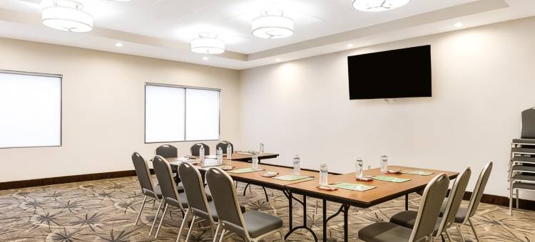 布朗斯维尔假日酒店(Holiday Inn BROWNSVILLE by IHG)图片