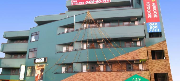 八王子城市酒店(Hachioji Urban Hotel)图片
