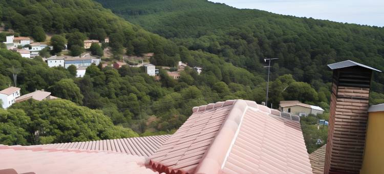 玛丽亚阿姨酒店(Hospedería Tía María)图片