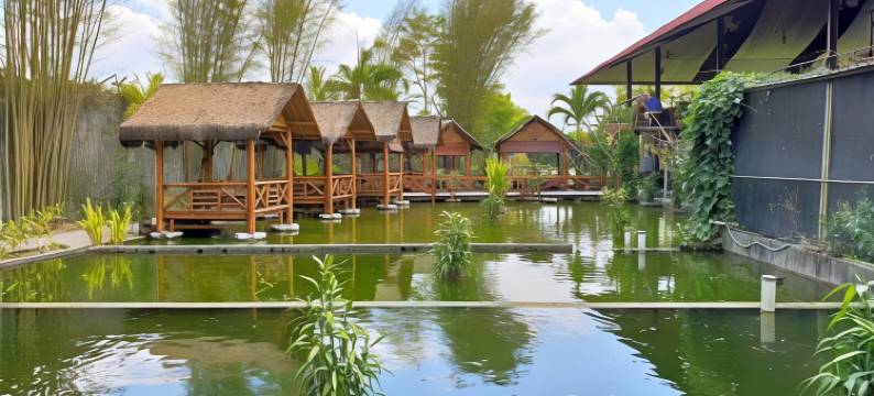 婆罗浮屠床和早餐 - 旅馆(Borobudur Bed & Breakfast)图片