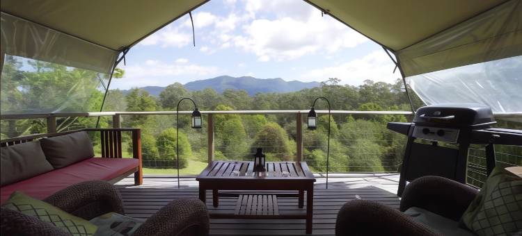 丝绸馆酒店(Silk Pavilions Glamping)图片