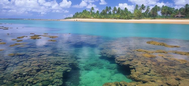 朵斯可拉莱斯别墅旅馆(Villa Dos Corais)图片