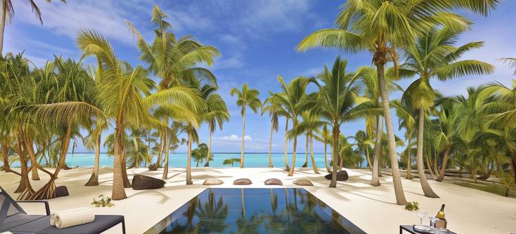 布兰多酒店，特蒂阿罗阿私人岛屿(The Brando, Tetiaroa Private Island)图片