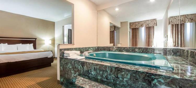 舒适套房酒店(Comfort Suites)图片