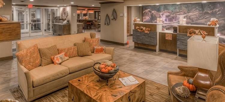 鸽子谷拉昆塔温德姆套房酒店(La Quinta Inn & Suites by Wyndham Pigeon Forge)图片