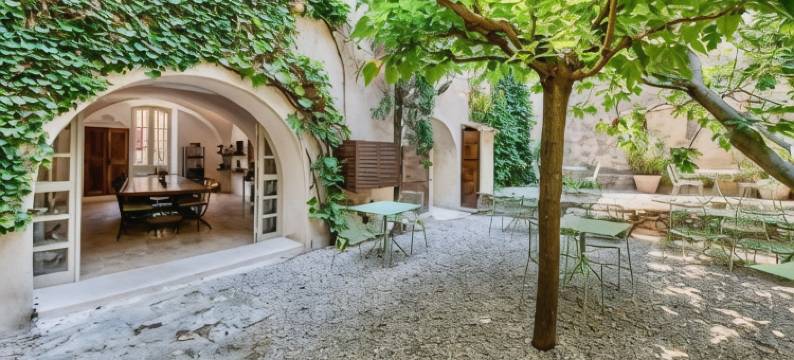 常绿的慢节奏(Au Ralenti du Lierre)图片