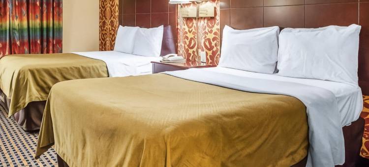 泽西市温德姆戴斯酒店(Days Inn by Wyndham Jersey City / NYC Area)图片