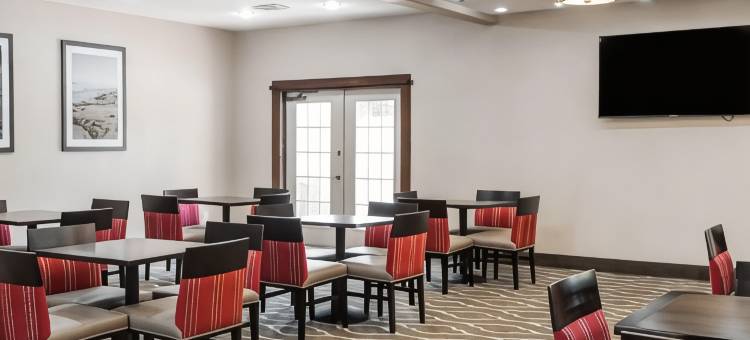 舒适酒店及套房(Comfort Inn & Suites Pharr/McAllen)图片