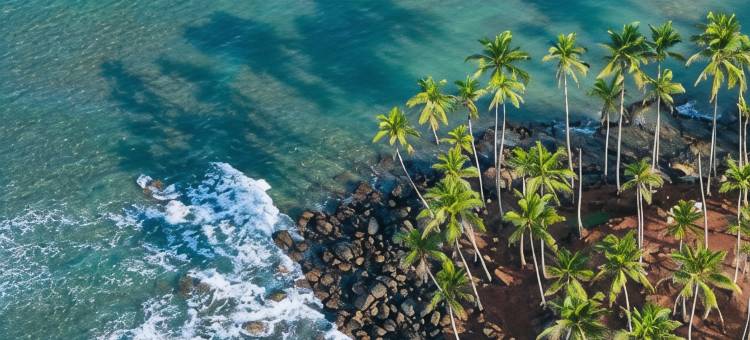 维斯塔维 · 黛玛系列(Vis Ta VIE -Thema Collection)图片