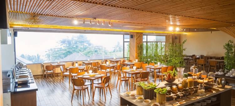 富国岛珊瑚湾度假酒店(Coral Bay Resort)图片
