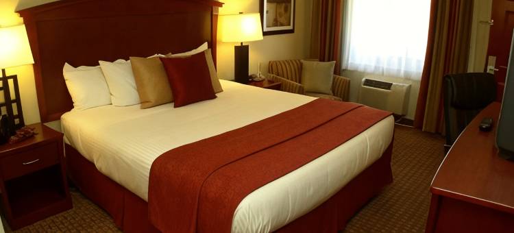 圣克鲁兹山凯艺套房酒店(Quality Inn & Suites Santa Cruz Mountains)图片
