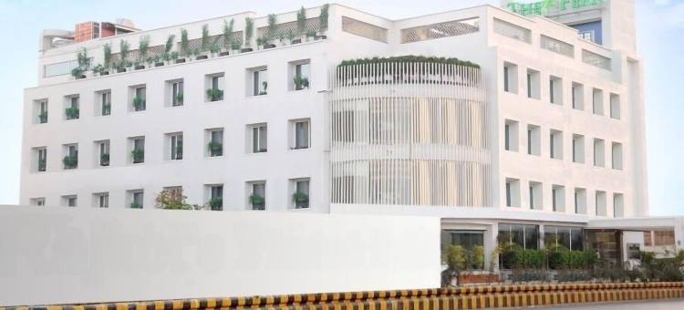 拉杰克特芬恩公寓(The Fern Residency Rajkot, Series by Marriott)图片