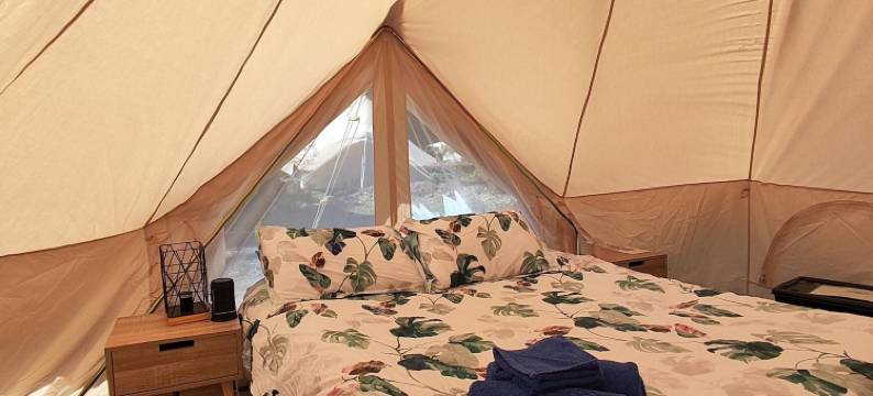 泽罕布斯露营酒店(Zeehan Bush Camp)图片