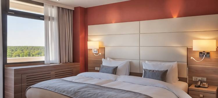 法兰克福国会皇冠假日酒店(Crowne Plaza FRANKFURT CONGRESS HOTEL by IHG)图片