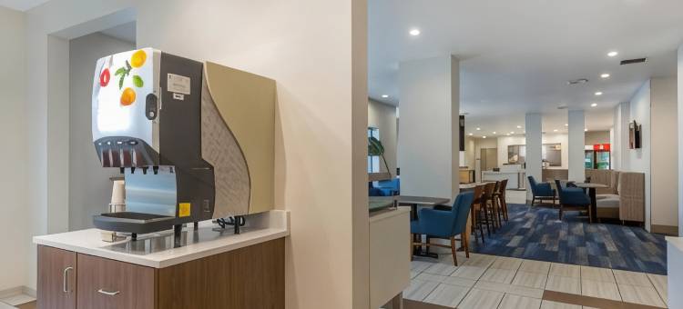 智选假日套房酒店-芝加哥西/圣查尔斯(Holiday Inn Express & Suites Chicago West - ST Charles)图片