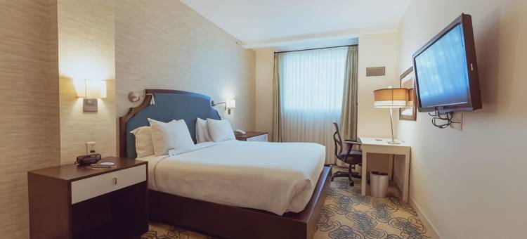 叙拉古斯凯勒酒店，希尔顿启缤精选(Hotel Skyler Syracuse, Tapestry Collection by Hilton)图片