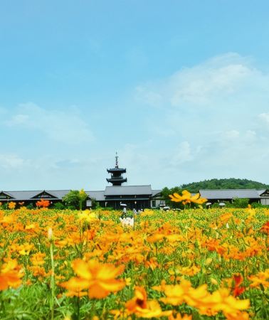 6D5N • Shanghai + Suzhou + Hangzhou + Nanjing + Wuxi + Wuzhen w. Professional tour guide and multiple cutural experiences