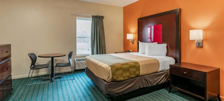 伊康套房旅馆(Econo Lodge Inn & Suites)图片