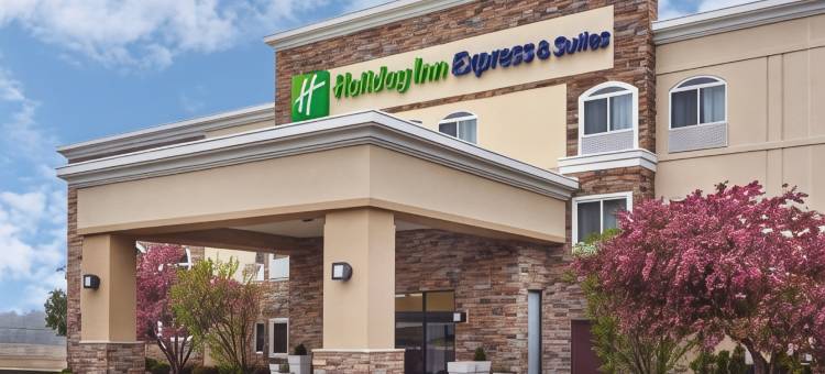 智选假日套房酒店芝加哥 - 利伯蒂维尔 by IHG(Holiday Inn Express & Suites Chicago-Libertyville)图片