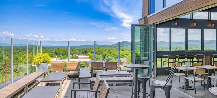 阿什维尔市中心希尔顿逸林酒店(DoubleTree by Hilton Asheville Downtown)图片