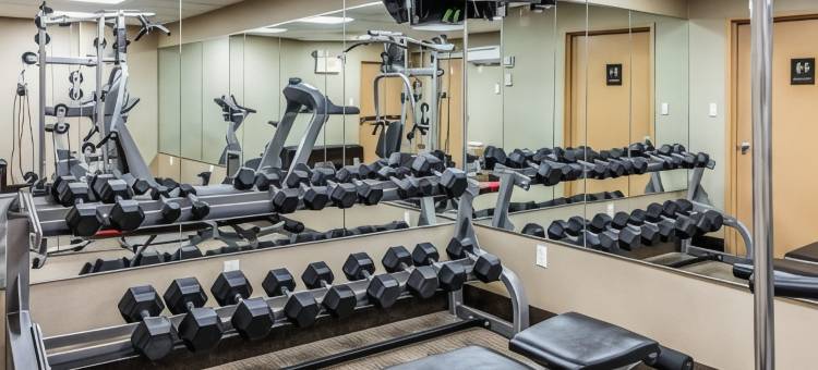 梅德福长岛舒适酒店(Comfort Inn Medford-Long Island)图片