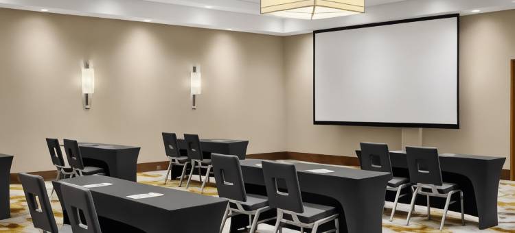 达拉斯理查森希尔顿花园酒店(Hilton Garden Inn Dallas/Richardson)图片