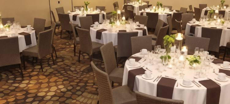 达拉斯爱田希尔顿大使套房酒店(Embassy Suites by Hilton Dallas Love Field)图片