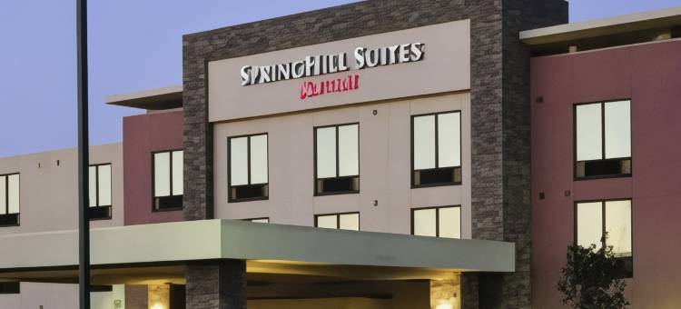 特雷霍特 SpringHill Suites 酒店(SpringHill Suites Terre Haute)图片
