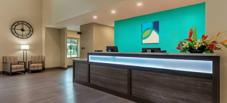 Ameniti Bay, BW Signature Collection图片