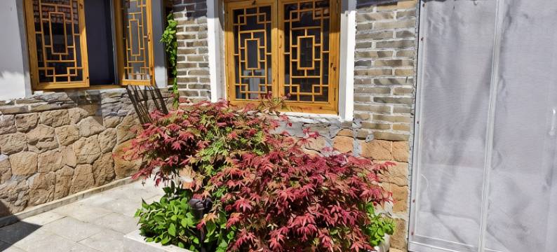 乳山乡下闲适小院图片