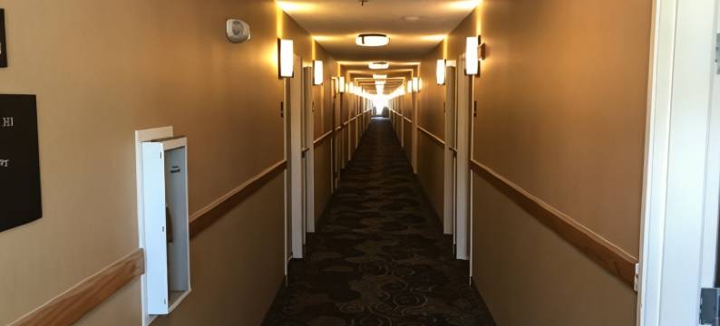 舒适酒店(Comfort Inn)图片