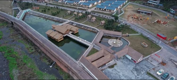 浮生农场民宿图片