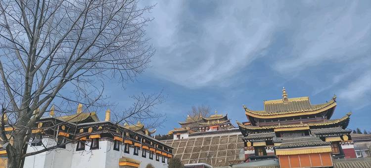 景恒国际酒店(香巴拉世纪广场店)图片