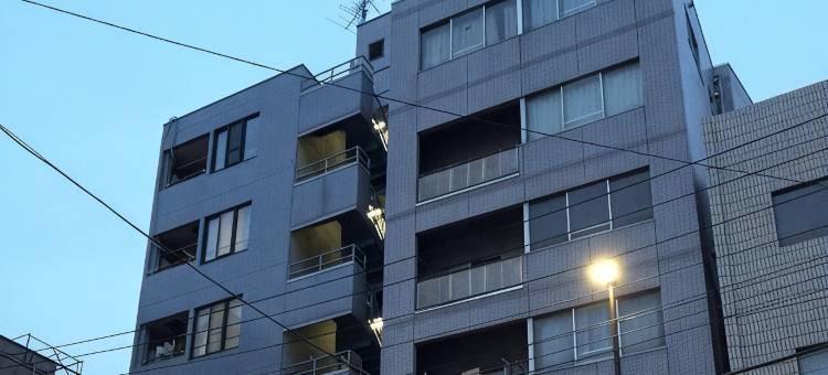 东京兰朵大公寓(Randor Residence Tokyo Grand)图片