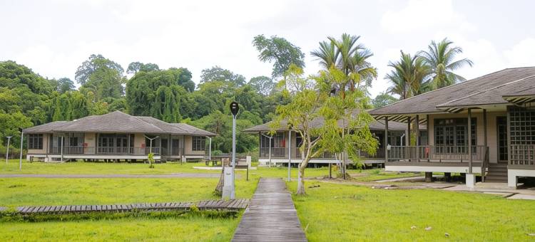 尼亚国家公园Sutera地平线(Sutera Horizon at Niah National Park)图片