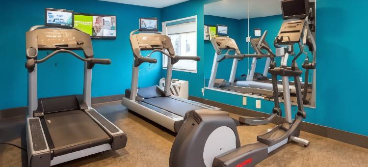 舒适酒店 - 戴达姆-波士顿大都会西区(Comfort Inn - Dedham-Boston MetroWest)图片