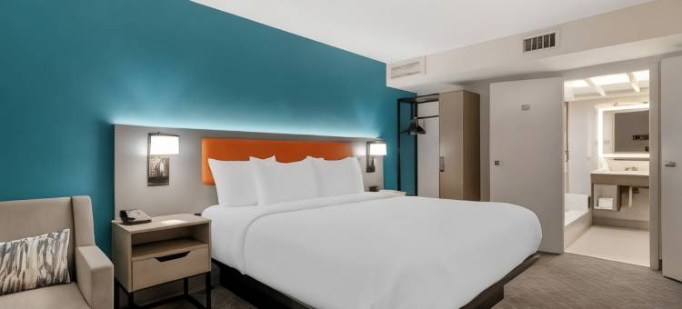 克莱门森舒适套房酒店-大学区(Comfort Inn & Suites Clemson - University Area)图片