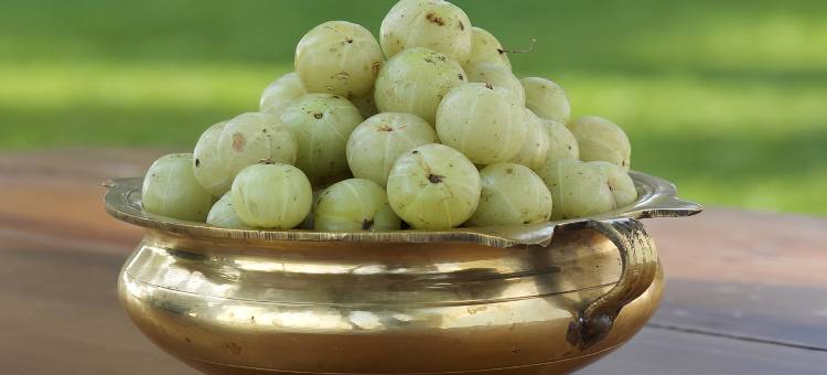 索玛棕榈岸度假村(Soma Palmshore)图片