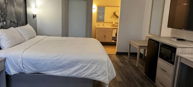 罗森伯格速8酒店(Super 8 by Wyndham Rosenberg TX)图片