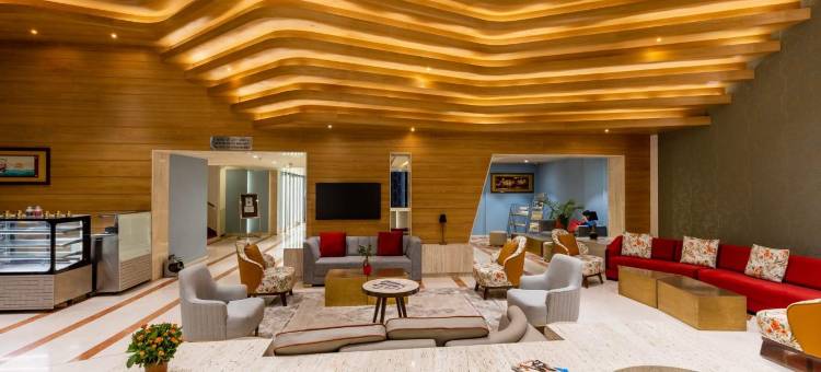 班加罗尔萨洛瓦城堡门廊酒店(Citadel Sarovar Portico Bengaluru)图片