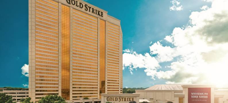 黄金斯特里科娱乐场酒店(Gold Strike Casino Resort)图片