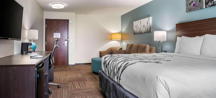 舒眠套房旅馆休斯敦Westchase-小西贡(Sleep Inn & Suites Houston Westchase - Little Saigon)图片