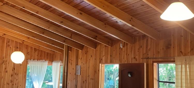 安特雷瓦列斯和佩利内斯(Entre Hualles y Pellines)图片