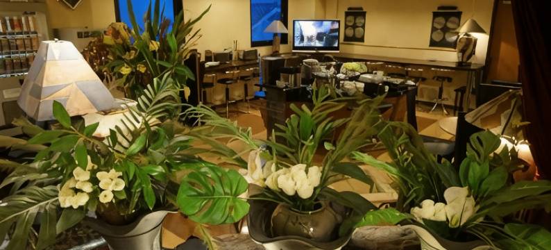 卫星酒店(Hotel Satellite)图片