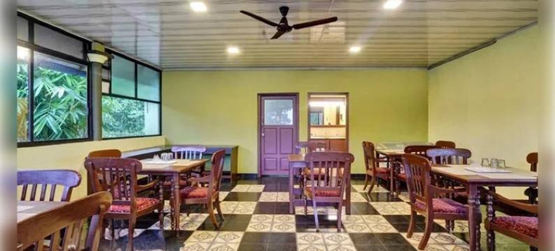 雾银(Misty D Silver)图片