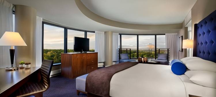 莱尔凯悦酒店-近内珀维尔(Hyatt Regency Lisle Near Naperville)图片