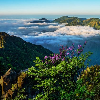 江西宜春7日4晚跟团游