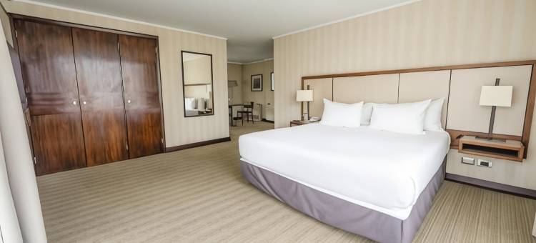 圣地亚哥阿巴总统套房酒店(Abba Presidente Suites Santiago)图片